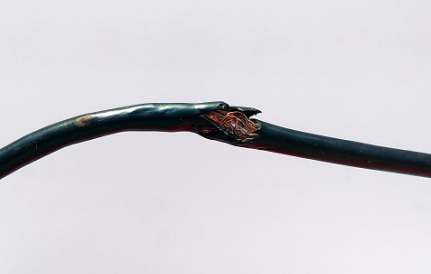 Cable Pelado-ts1618259422