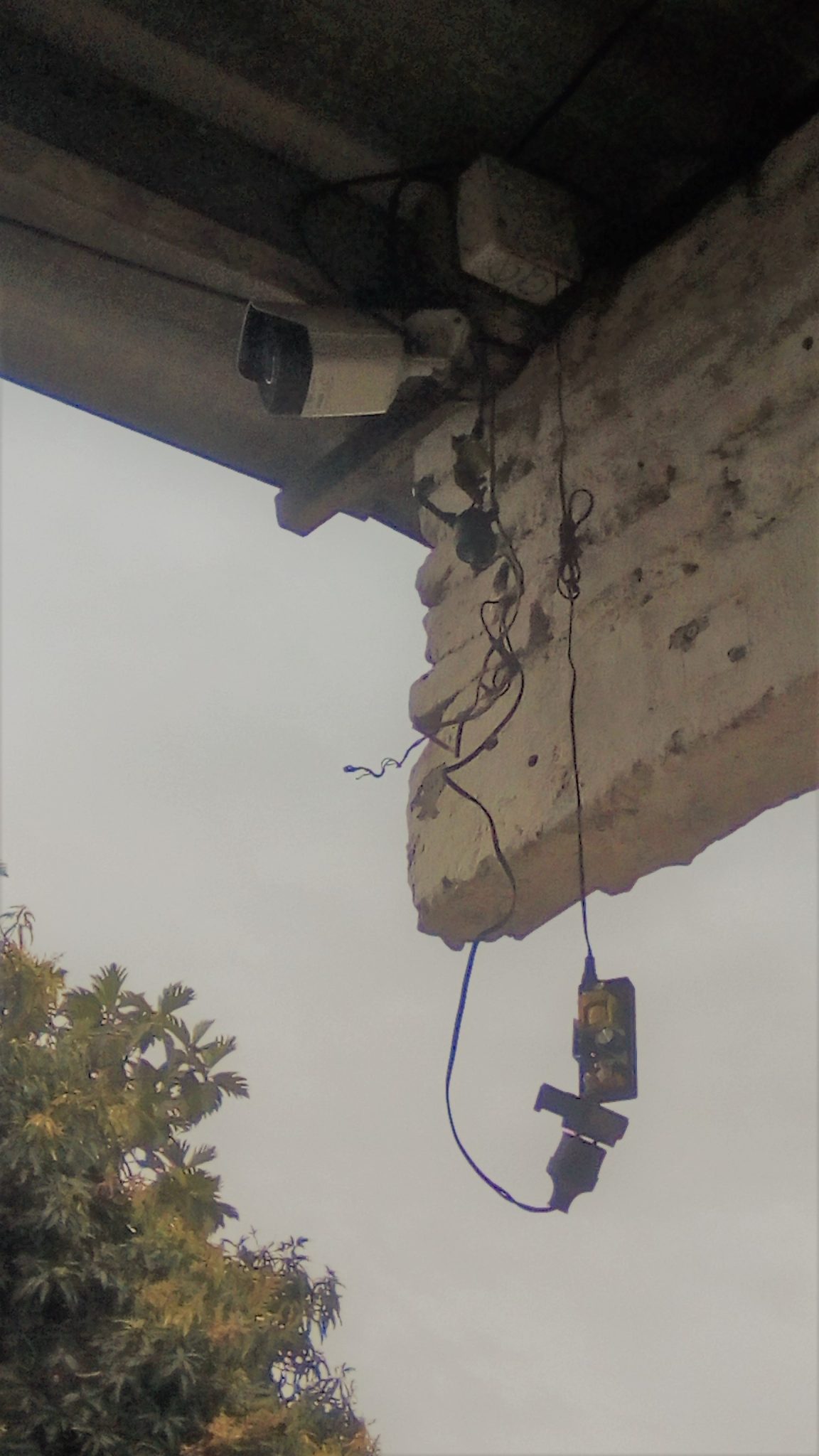 IMG_20210215_095516-ts1618259667