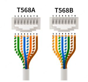 RJ45-T568A-y-T568B